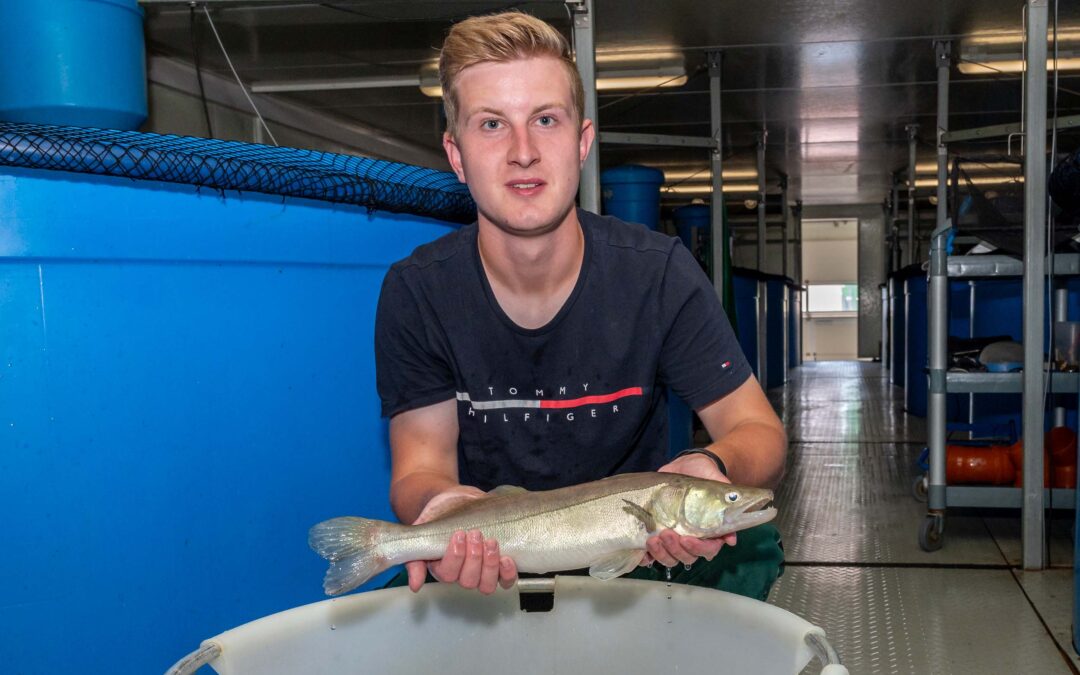 Bei der Fischzucht Stier in Bärnau werden Fische und Garnelen in einer Indooranlage gezüchtet